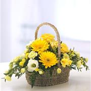 Yellow &amp; White Basket