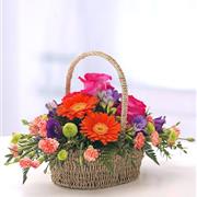 Vibrant Coloured Basket