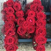 All Roses Letters and Names