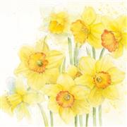 Daffodils Floral Art Greetings Card