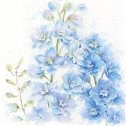 Delphiniums Floral Art Card