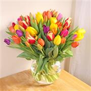 Large Bouquet of 50 Mixed Tulips