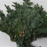 Nobilis Witband Fir 5kg