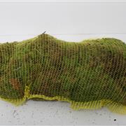 Spagnum Moss 5kg Bag