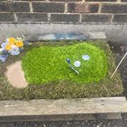 Golf Hole with Bunker
