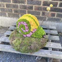 Snail Funeral Flowers Tribute