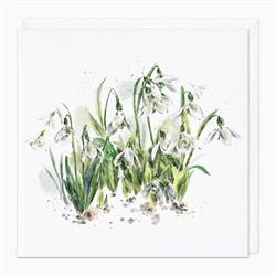 Snowdrops Art Card