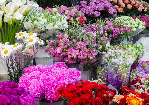 Explore our Bouquet gifts and Seasonal Flower