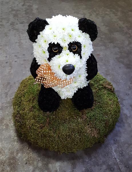 Panda Bear 3D Funeral Tribute Rays Florist