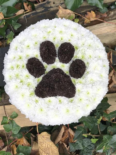 Paw print flower clearance arrangement