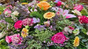 Click here to view our full range