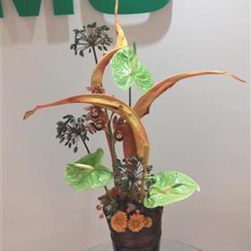 fwthumbAutumn-Office-Display-Banana-Leaves-Anthuriums.jpg