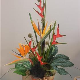 fwthumbBusiness-Corporate-Flower-Display-Heliconia.jpg