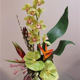 fwthumbBusiness-Corporate-Flower-Display-Mixed.jpg