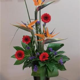fwthumbCorporate-Business-Flower-Display-Birds-of-Paradise.jpg