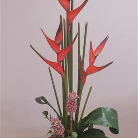 fwthumbCorporate-Business-Flowers-Tropical.jpg