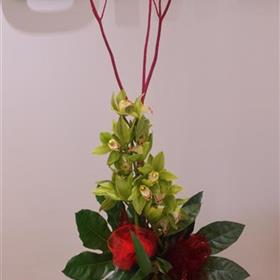 fwthumbCorporate-Business-Office-Flowers-Cymbidium.jpg