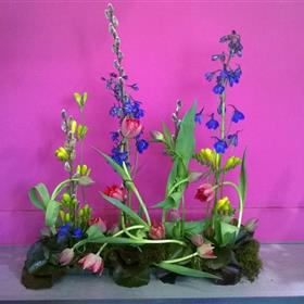 fwthumbCorporate-Business-Office-Flowers-Delphinium.jpg
