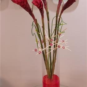 fwthumbCorporate-Office-Display-Ginger-Tropical.jpg