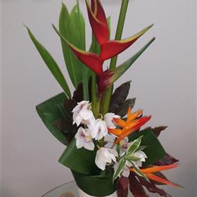 fwthumbCorporate-Office-Reception-Display-Exotic.jpg
