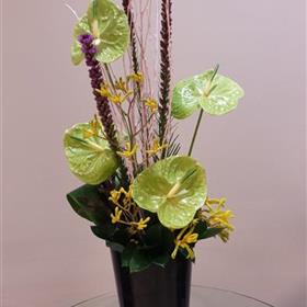 fwthumbCorporate-Office-Reception-Display-Liatris.jpg