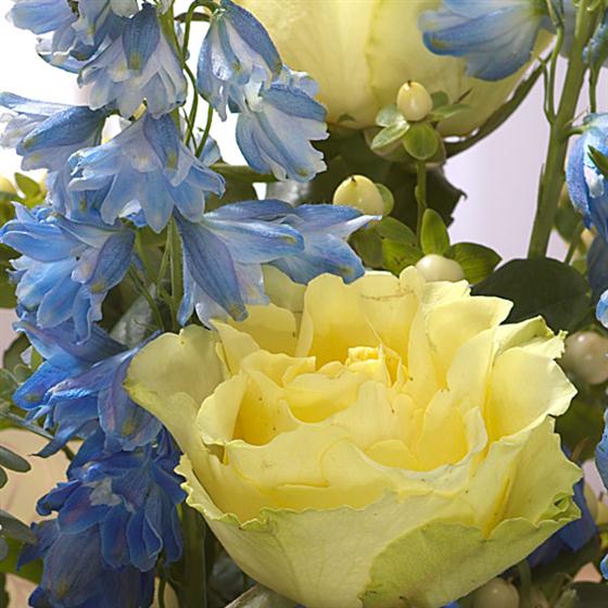 Marie Curie Handtied Flower Delivery by Rays Florist