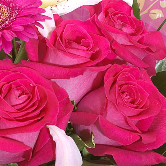 Raspberry Ripple Hand Tied Bouquet | Flower Delivery by Rays Florist